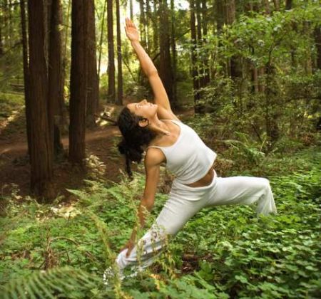 forest-yoga